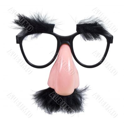 Glasses with Mustache and Eyebrows