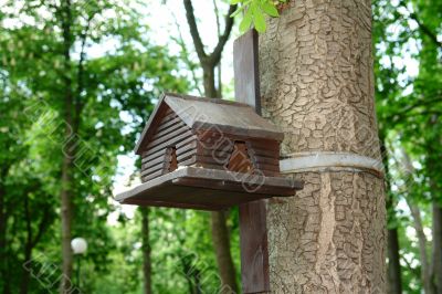 birdhouse
