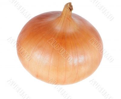 onion