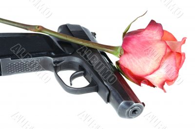 gun and rose