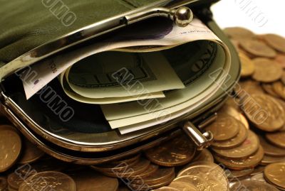 Purse with money Purse with money