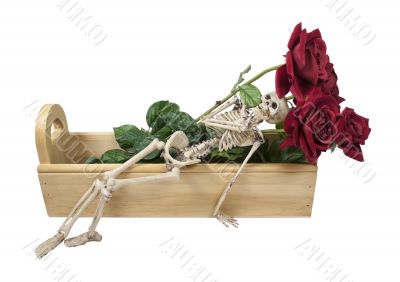 Skeleton Laying in a Wooden Box with Roses