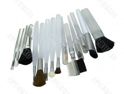 A Variety of Cosmetic Brushes