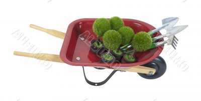 Wheelbarrow with Plants and Tools