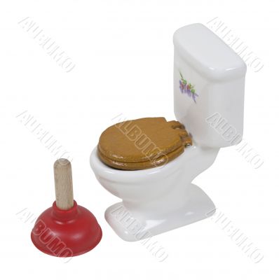 Toilet and Large Plunger