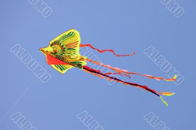 Dragon kite
