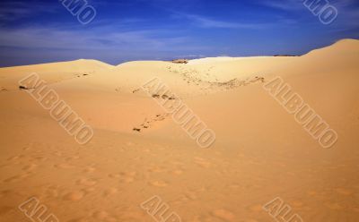 desert landscape desert landscape
