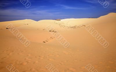 desert landscape