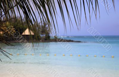 tropical beach tropical beach