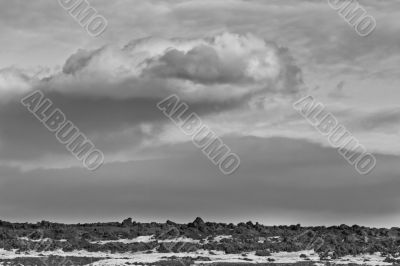 Saskatchewan Landscape