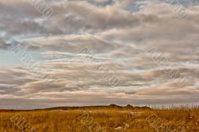 Saskatchewan Landscape