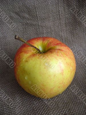 very nice and ripe apple on the table
