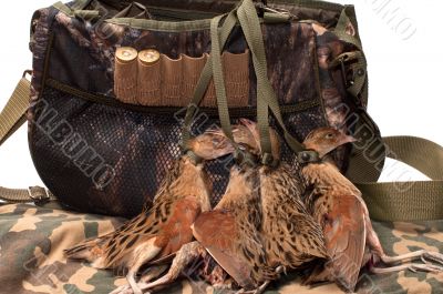 Fowling bag and bird. Fowling bag and bird.