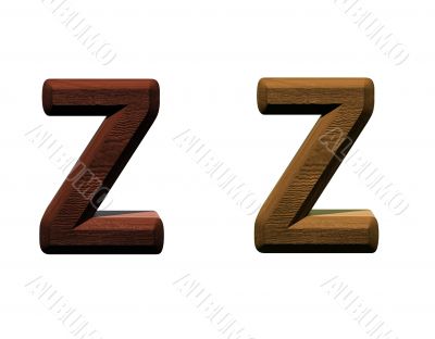 one letter of wooden alphabet.