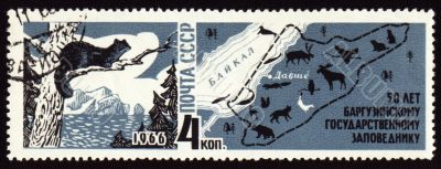 50-year anniversary of Barguzinsky reserve on post stamp