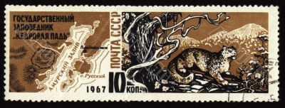 Cedar Pad reserve in USSR on post stamp
