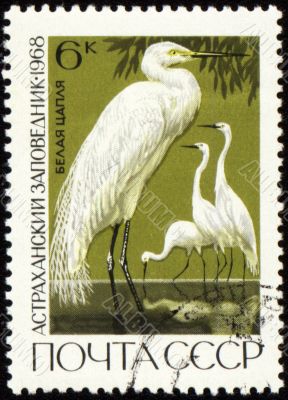Egret on post stamp