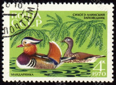 Mandarin ducks on post stamp