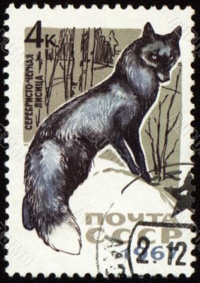 Black fox on post stamp