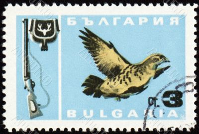 Fowl bird on post stamp