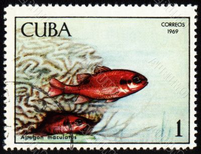 Fish Apogon maculatus on post stamp