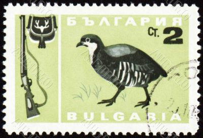 Fowl bird on post stamp