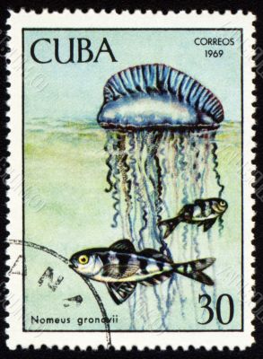 Fish Nomeus gronovii on post stamp