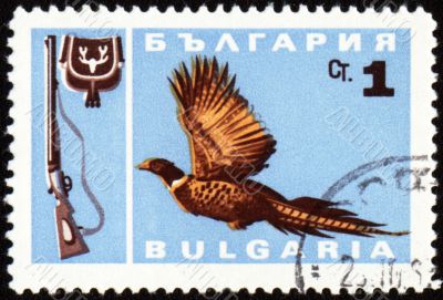 Fowl bird on post stamp