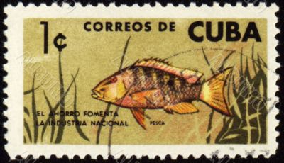 Fish on post stamp