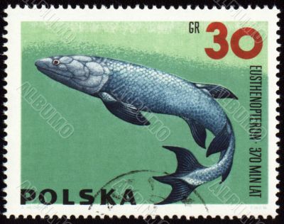 Prehistoric fish Eusthenopteron on post stamp