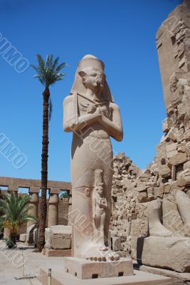 huge statue in egypt