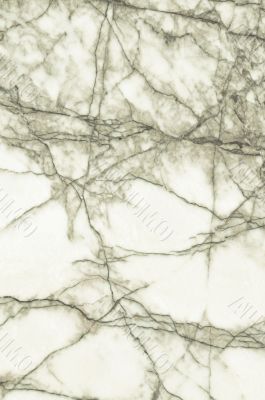 white marble  texture background.  ( High resolution )   