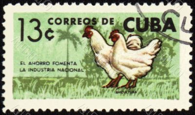 Rooster and hen on post stamp