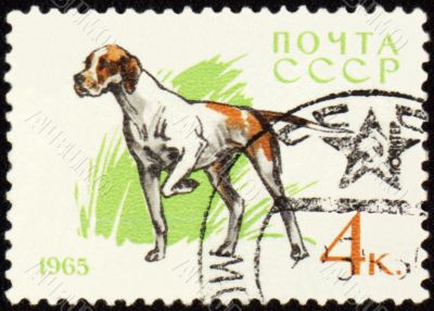 Pointer on post stamp