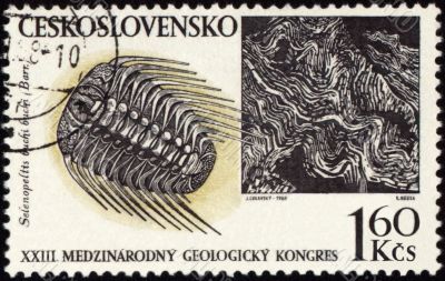 Mountains and fossil on post stamp