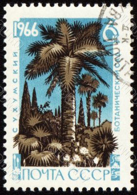 Palm trees in botanical gardens on post stamp