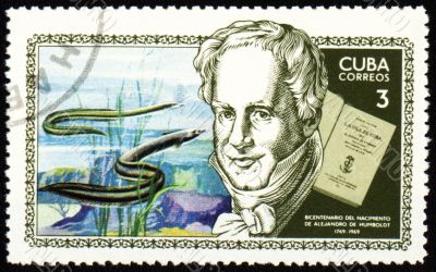 Alexander von Humboldt and sea-eel on post stamp