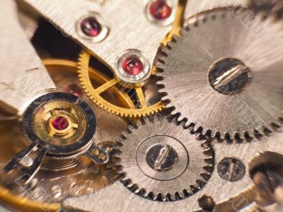 Macro photo of the mechanism of a watch