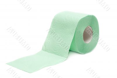 Roll green toilet paper