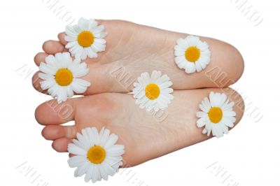 Feminine foots and daisywheels