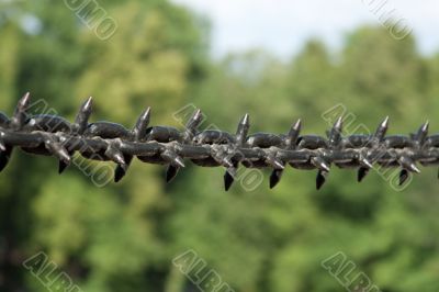 Chain with thorn Chain with thorn