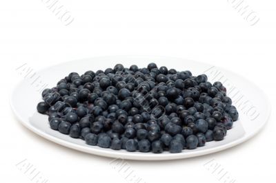 Plate with whortleberry