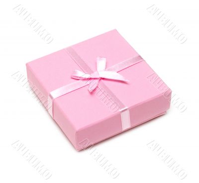 Gift rose box with bow