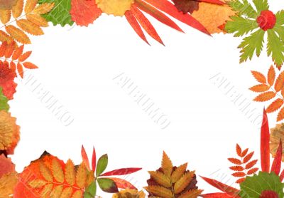 Frame their autumn sheet
