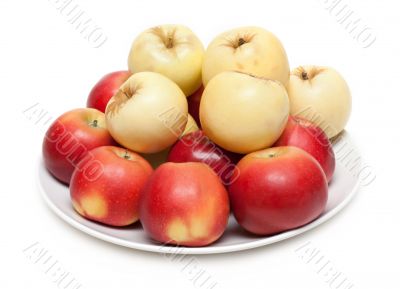 Red and yellow apple on plate