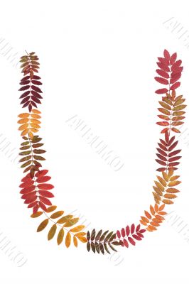 Letter U from alphabet