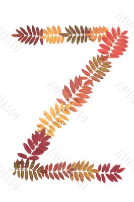 Letter of the alphabet Z