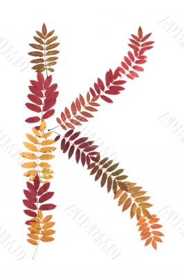 Letter of the alphabet K