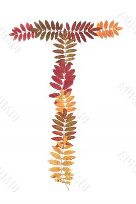 Letter of the alphabet T