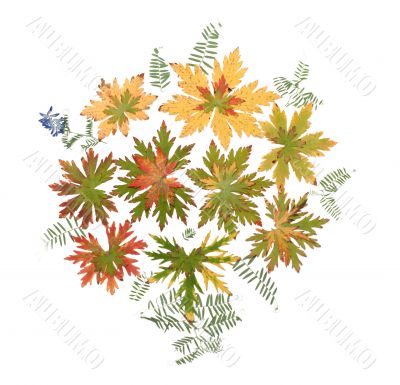 Autumn sheet put around